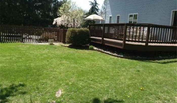 back yard deck area