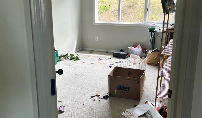 Entering 3rd bedroom