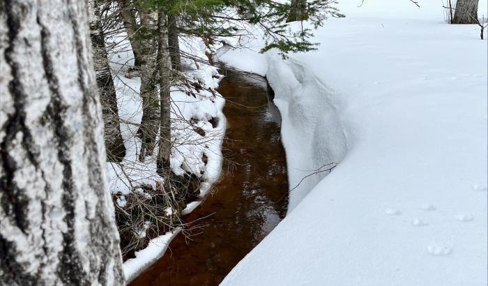 View of creek