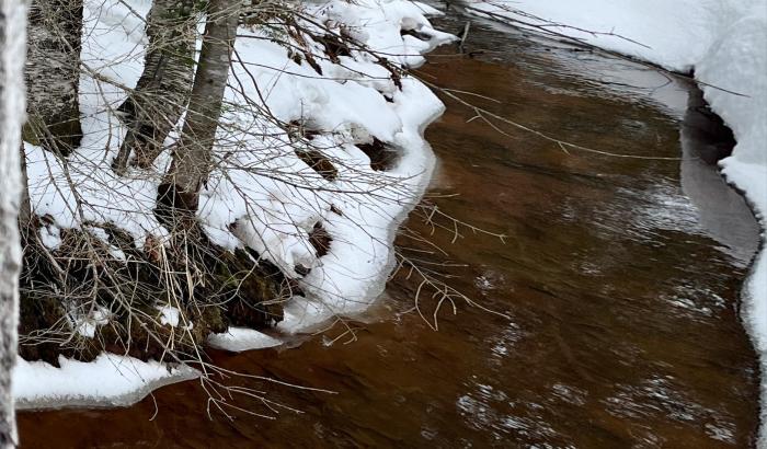 Part of the creek