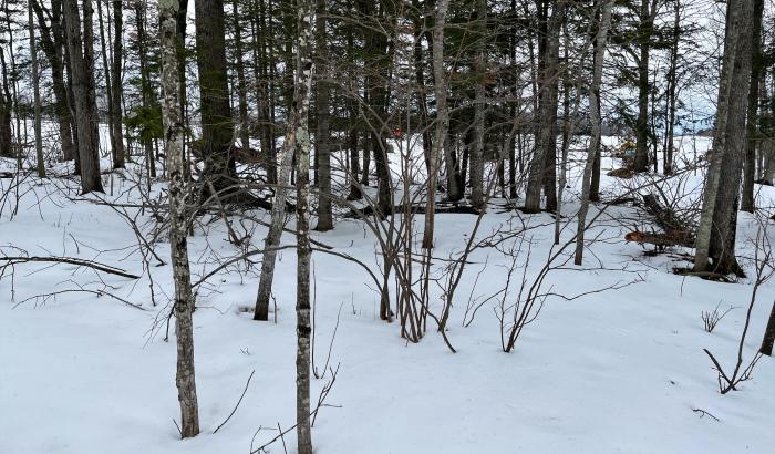Far end of the lots 