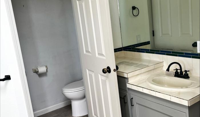 Master bathroom vanity and toilet