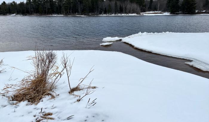 Creek coming off river