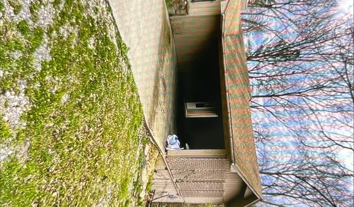 side view