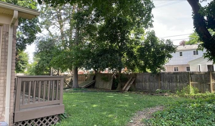 View from side to backyard