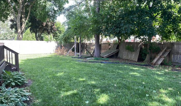 View of backyard